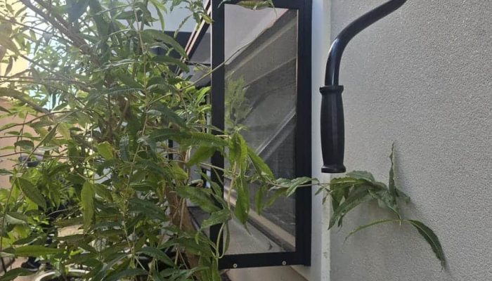 Janela maxim-ar com tela mosquiteira instalada, vista de fora, com plantas e ramos na frente da parede clara